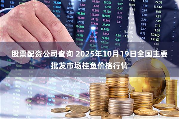 股票配资公司查询 2025年10月19日全国主要批发市场桂鱼价格行情