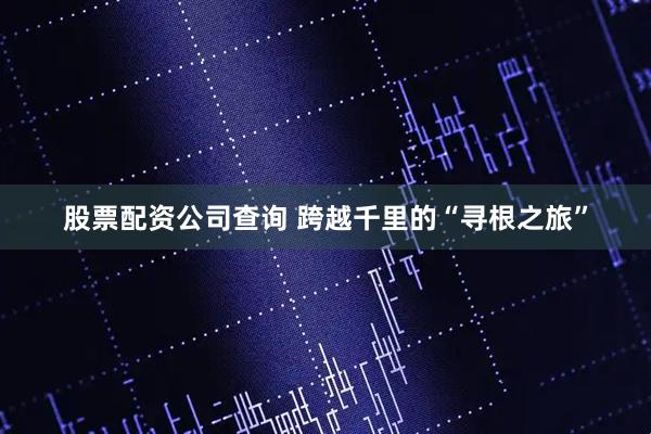 股票配资公司查询 跨越千里的“寻根之旅”