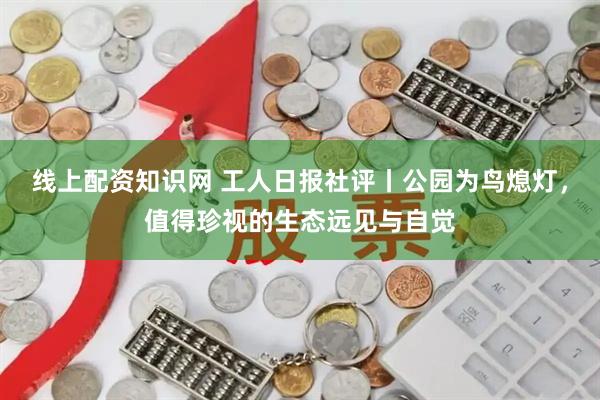 线上配资知识网 工人日报社评丨公园为鸟熄灯，值得珍视的生态远见与自觉