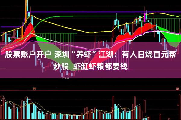 股票账户开户 深圳“养虾”江湖：有人日烧百元帮炒股  虾缸虾粮都要钱